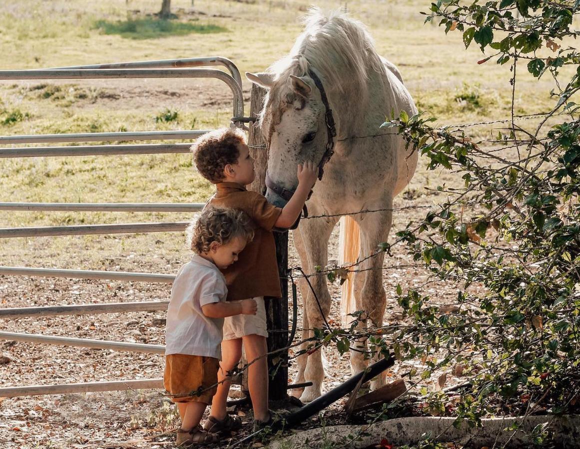 Rosecliffe Farm Farm stay