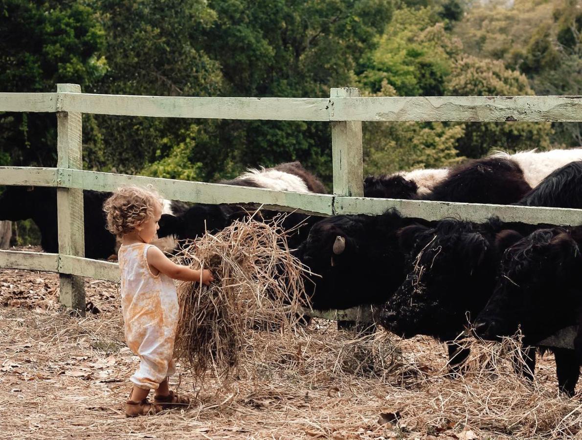 Rosecliffe Farm Farm stay *